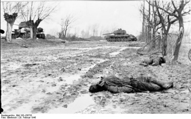 1945 год в 84 фотографиях