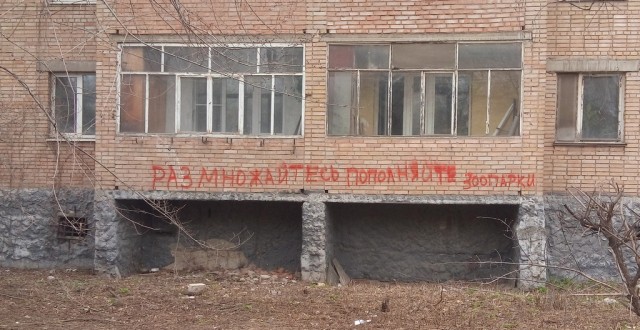 Мысли на стене