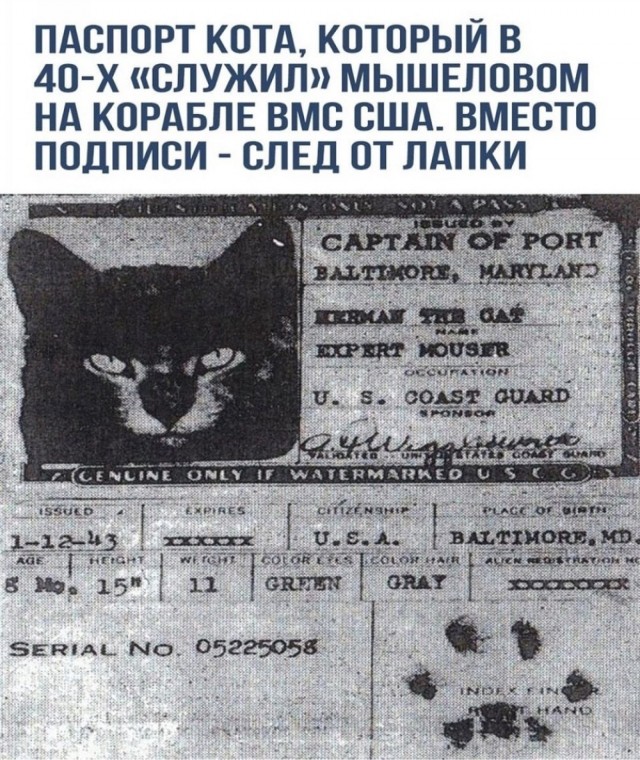 Отряд быстрого деградирования