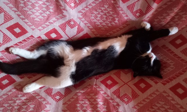 ПрИшлая девочка