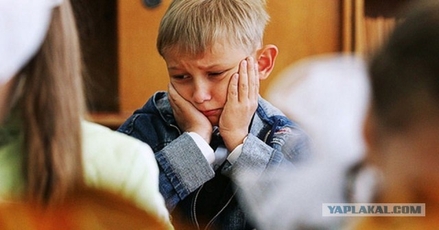 Интернет освободился