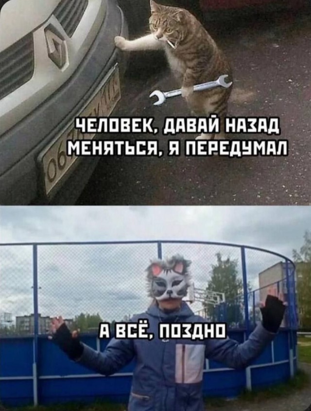Веселые картинки к понедельнику (21.10)