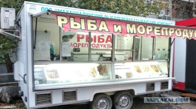 У меня один вопрос, люди, куда вам столько?!