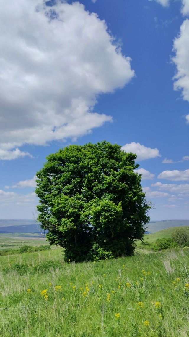 Красота в глазах смотрящего