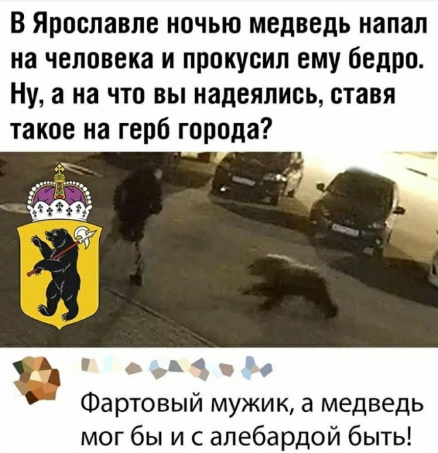 Так себе картинки 22.02.25
