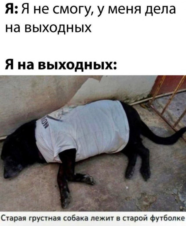 Веселые картинки в пятницу (11.04)