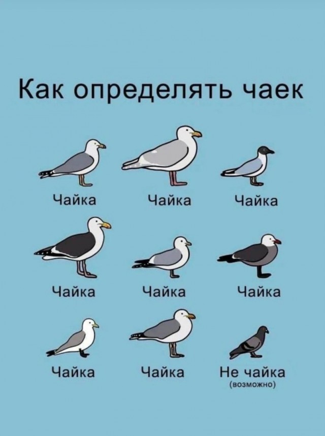 Так себе картинки 29.11.24