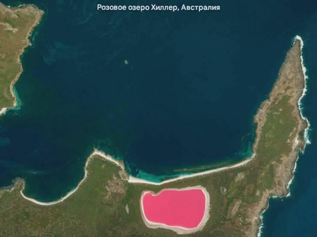 Белый слон и другие картинки