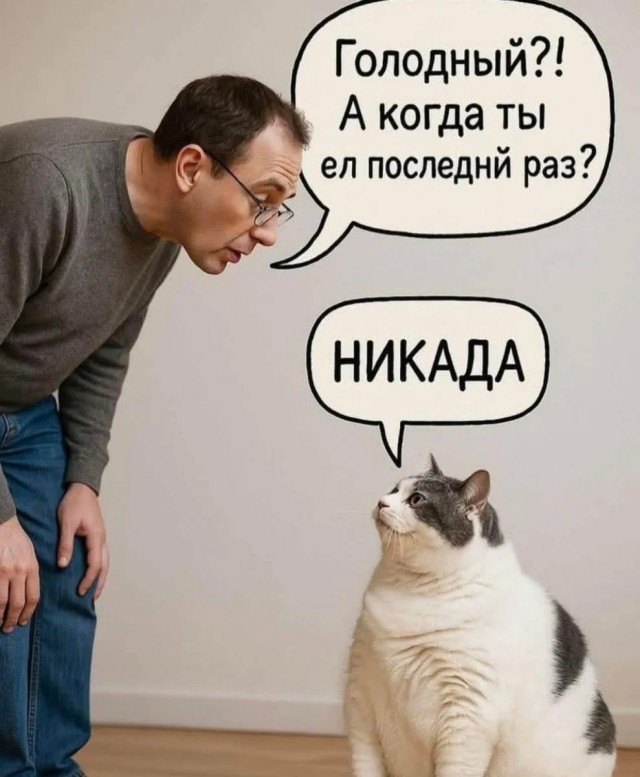 Юмор из букв в картинках за день и суета