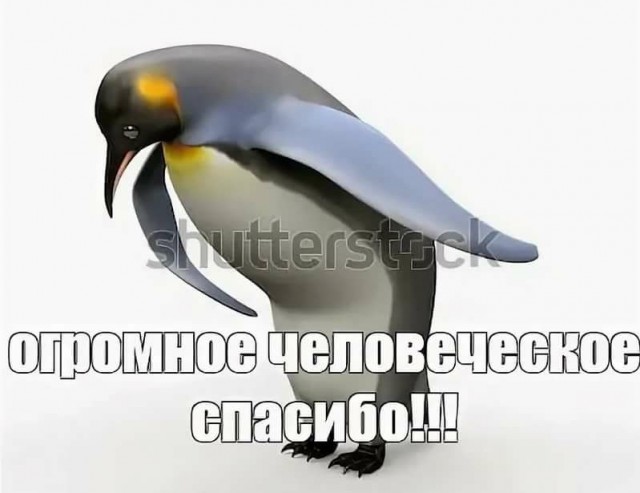 Веселые картинки в понедельник (29.09)