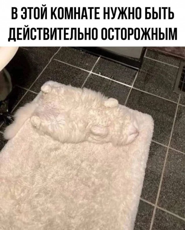 Воскресные картинки