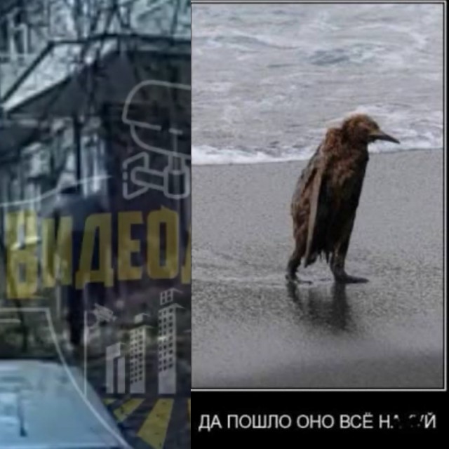 В Уфе «восставшая» машина съехала со склона и устроила массовое ДТП