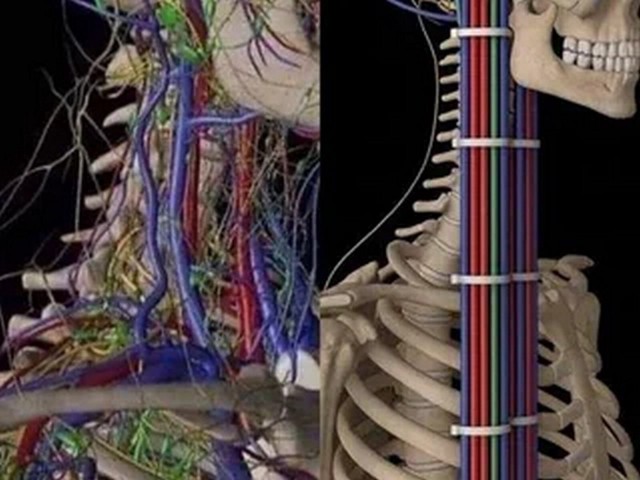 Электро прон⁠⁠