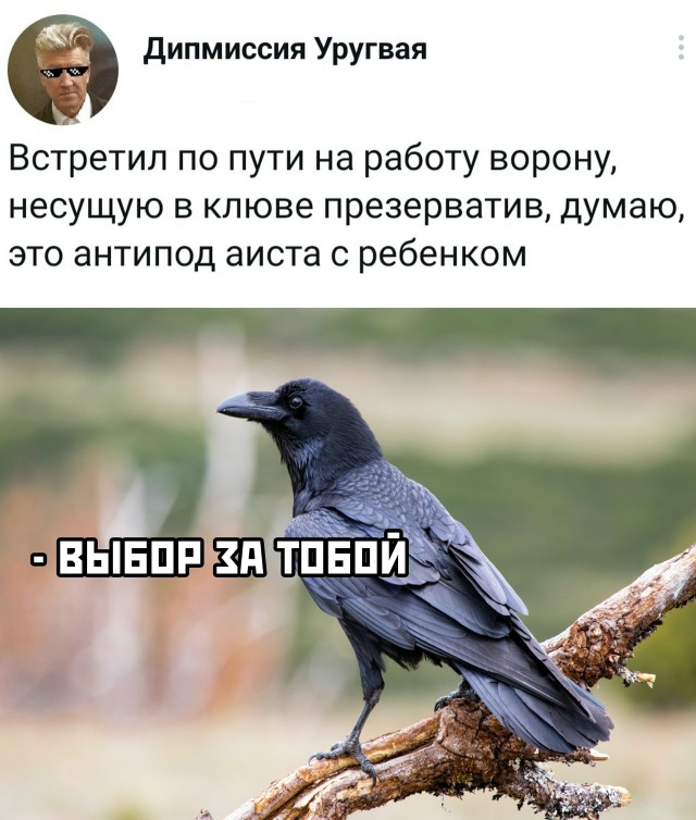 Так себе картинки 09.12.25