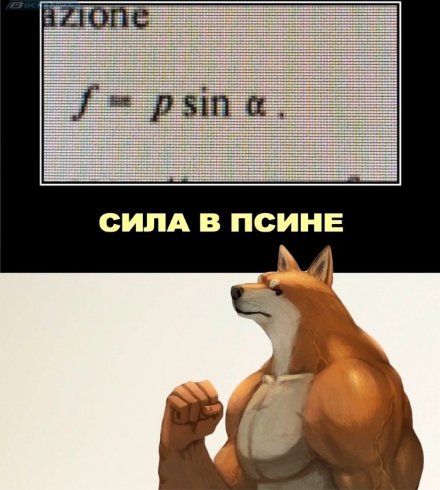 Воскресные картинки