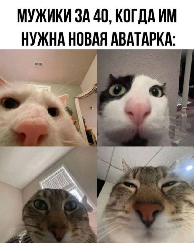 Картиночки, баянчики 30 января