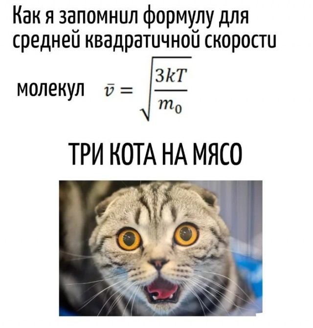 Игра слов в картинках 26.02.26