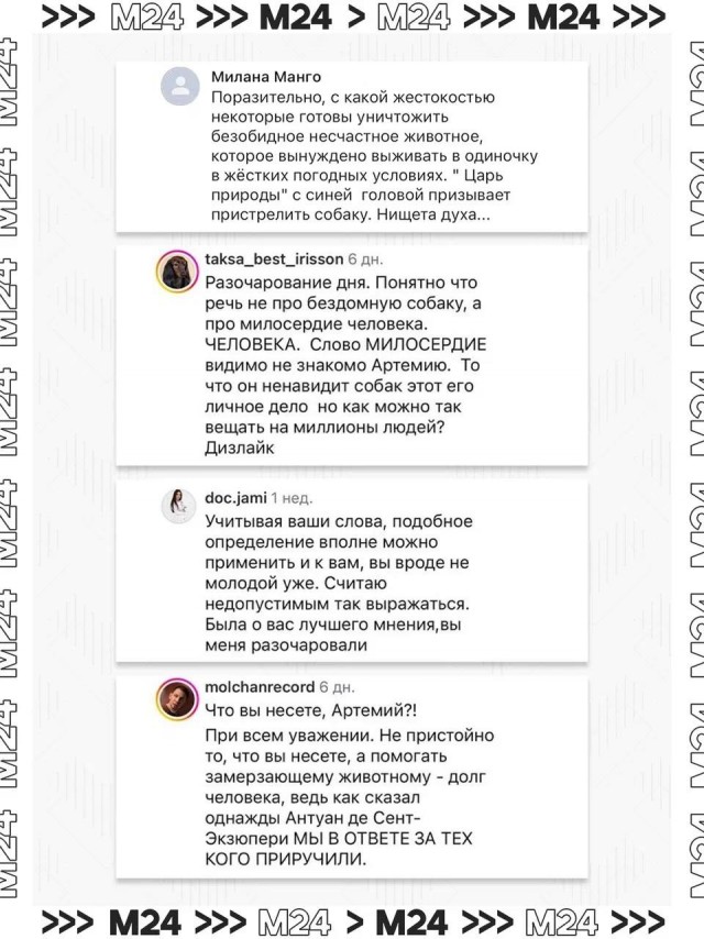 Артемия Лебедева  массово критикуют в соцсетях из-за слов о бездомных собаках