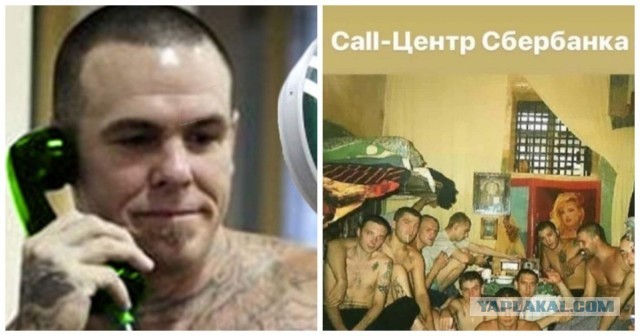 Сын богатейшего депутата Перми оказался курьером на службе у украинских мошенников