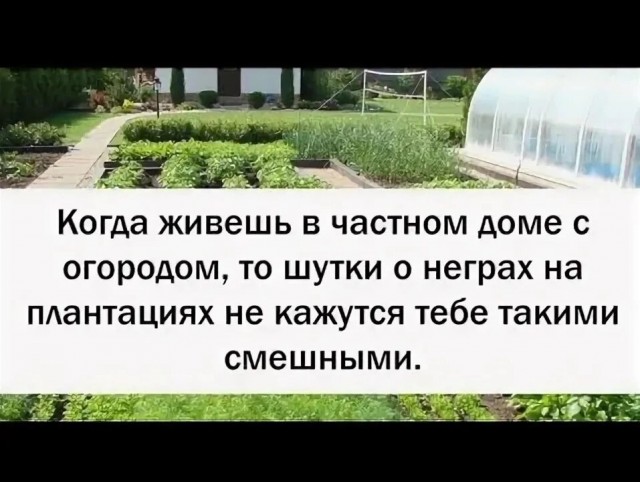 Субботние картинки