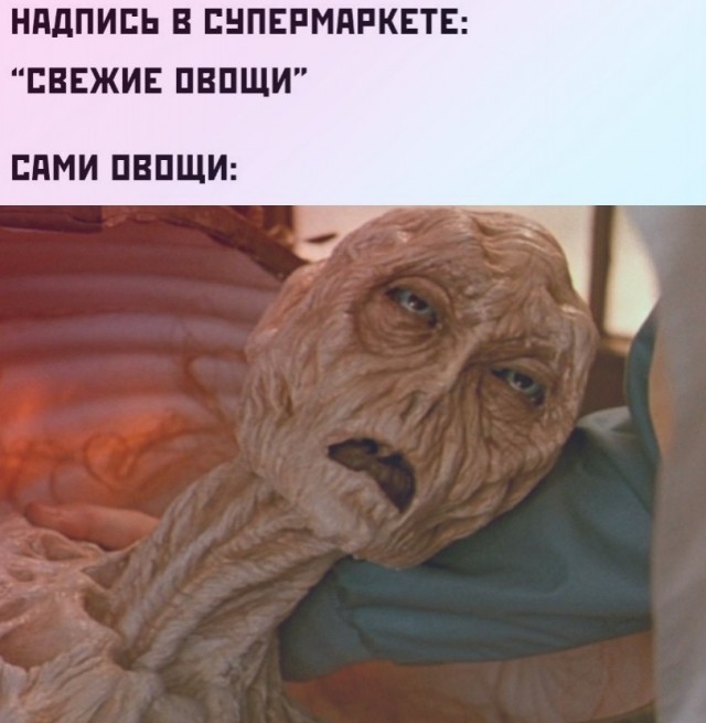 Веселые картинки в пятницу (29.05)