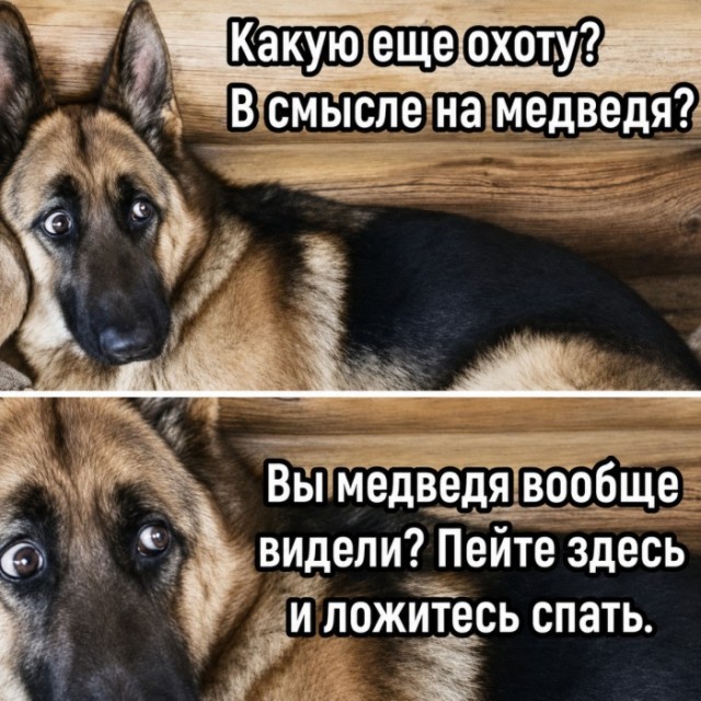 Картинки для деградации 231 (разной степени свежести)