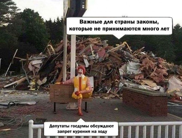 ГД приняла законопроект о благоустройстве лесных тропинок