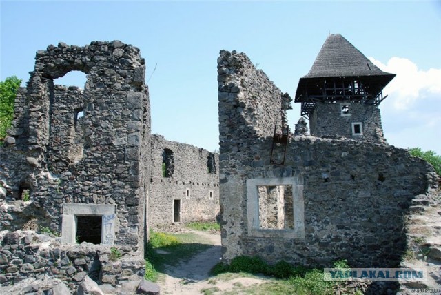 В Карпатах