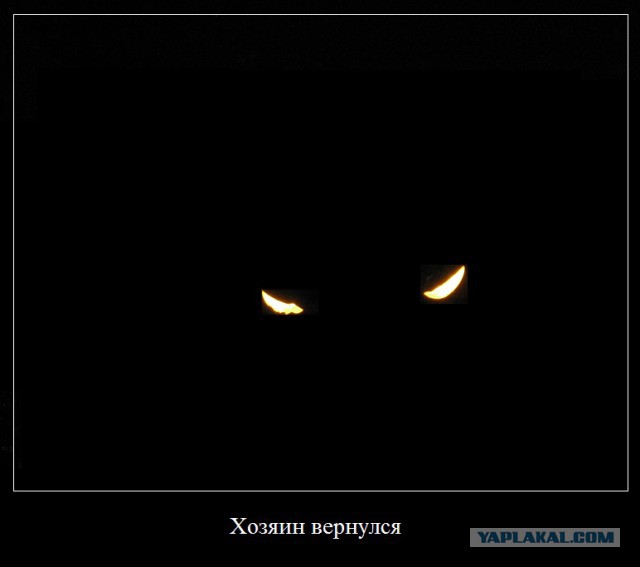 Поход в странный ресторан.