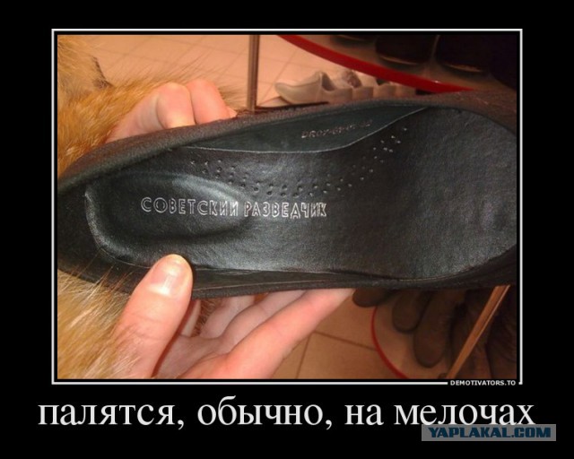 Отмена бана выглядит так