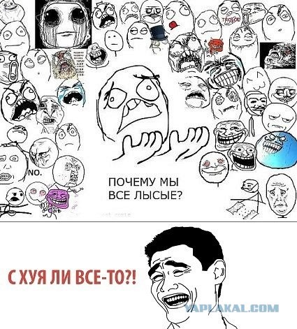 Почему все рожи лысые?