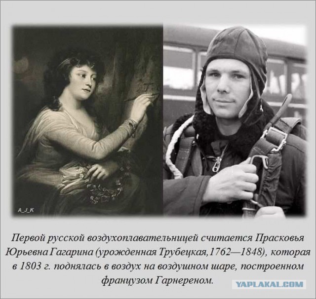 20 фактов обо всем