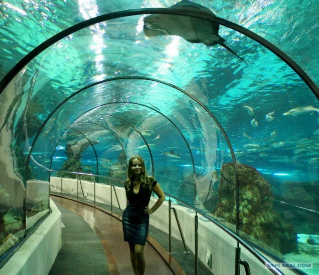 Места которые надо обязательно посетить в Санкт-Петербурге Это интересно..... Дз