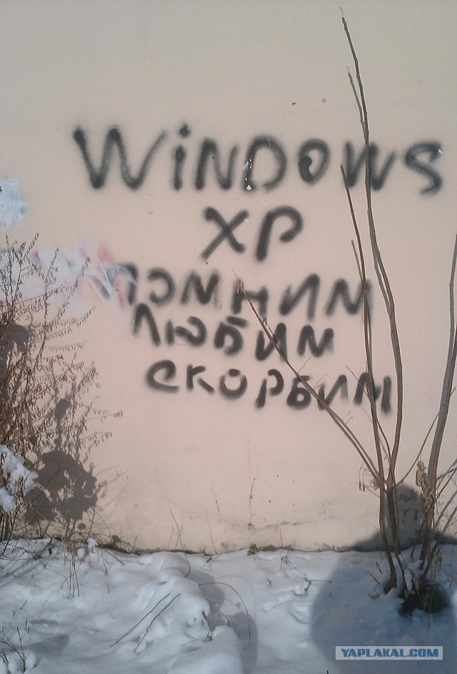 Когда корявые надписи на стенах смотрят в душу
