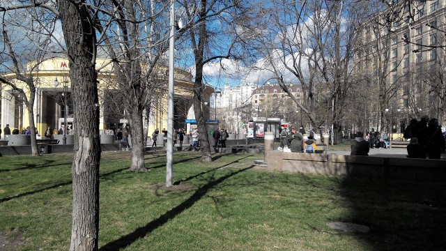Гид по лучшим развлечения «Рыбной недели» в Москве