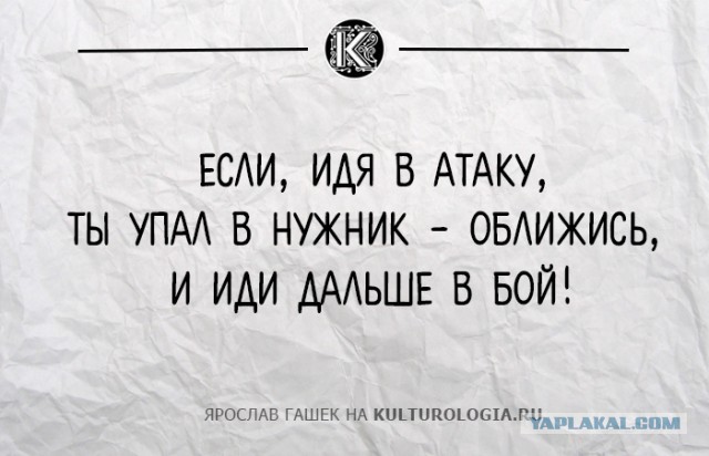10 жизненных пронизанных сарказмом цитат из романа