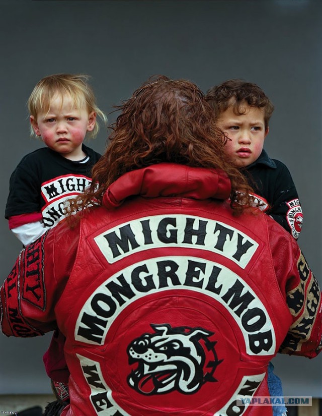 Банда Mighty Mongrel Mob