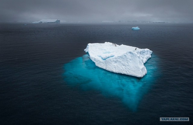 Фотоконкурс National Geographic 2012