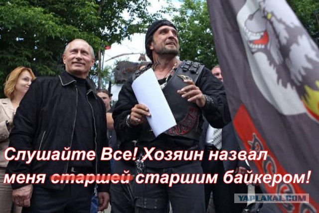 Донос Хирурга это просто ад какой-то