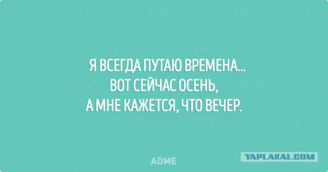 Картинки из интернета