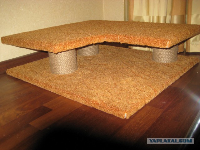 Кошкин дом - он такой