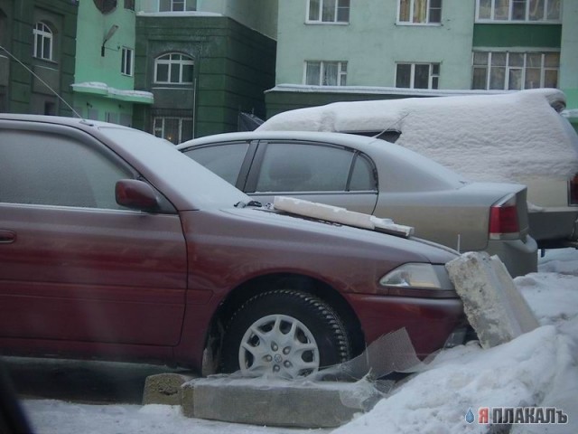 Дневник замерзающего москвича