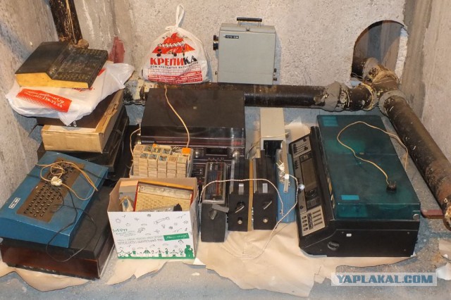 Сколько счастя привалило