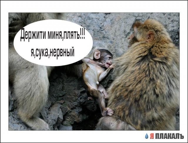 А сын останется са мной!!!