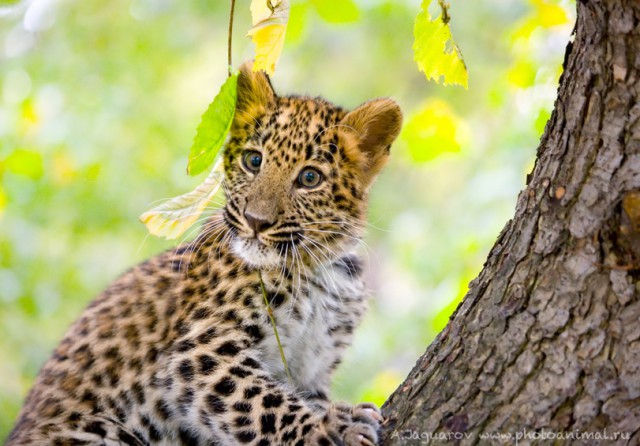 Подборка интересных и веселых фото