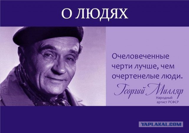 Табличка Маннергейму и мост Кадырову, первые результаты