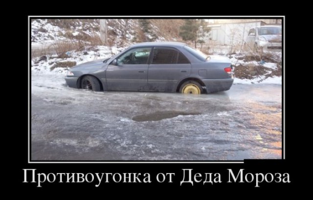 Порция картинок