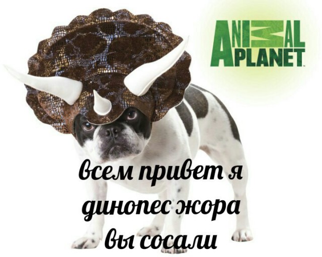 Абсурд зашкаливает