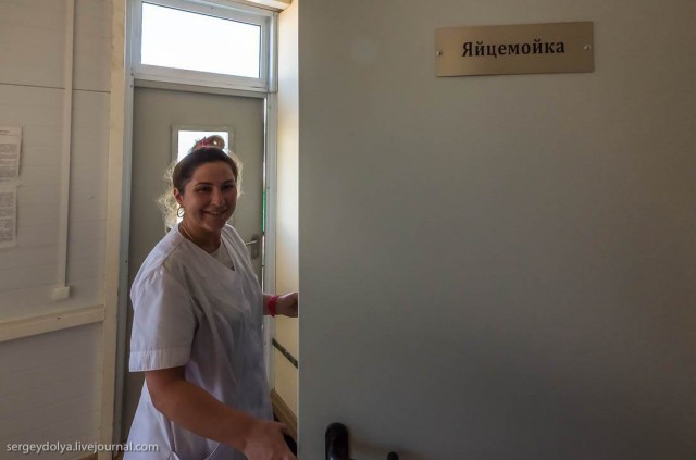 Подборка интересных и веселых картинок