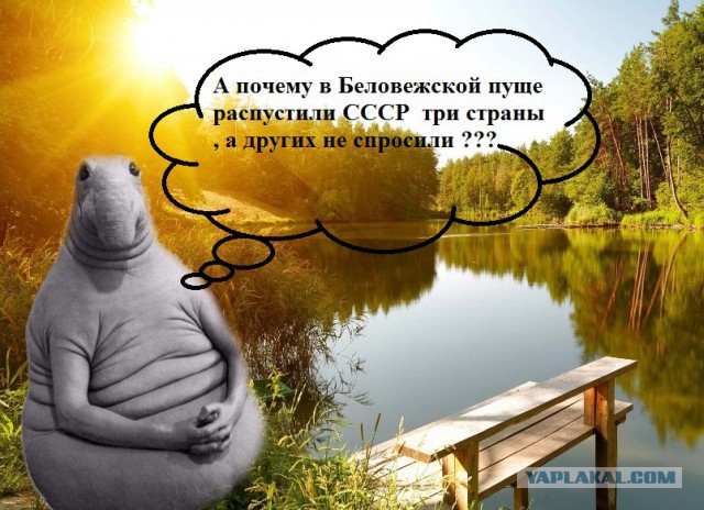 Митинг в Беларусии